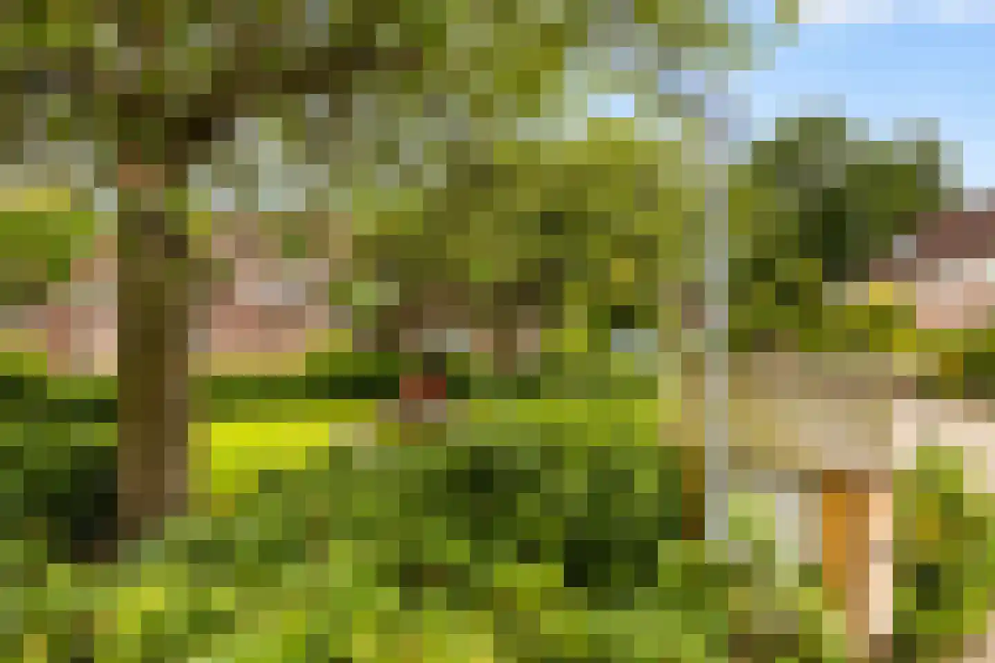Hoge Kamp 27 Ermelo thumbnail 50