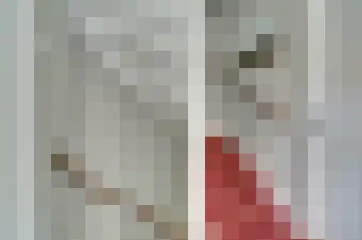 Hoge Kamp 29 Ermelo thumbnail 24