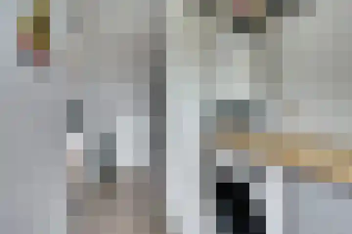 Hoge Kamp 29 Ermelo thumbnail 26