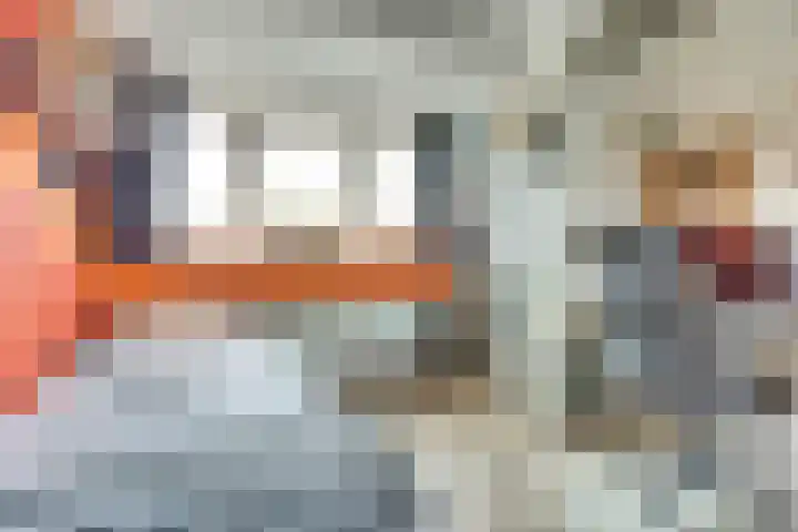 Hoge Kamp 29 Ermelo thumbnail 27