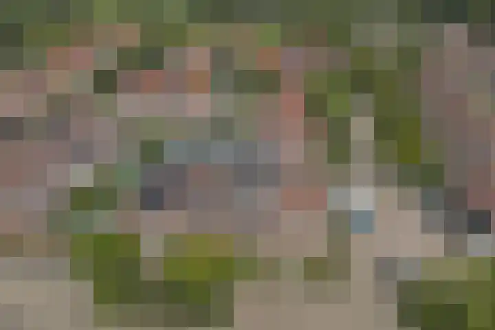 Hoge Kamp 29 Ermelo thumbnail 32