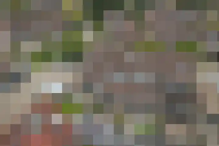 Hoge Kamp 29 Ermelo thumbnail 33