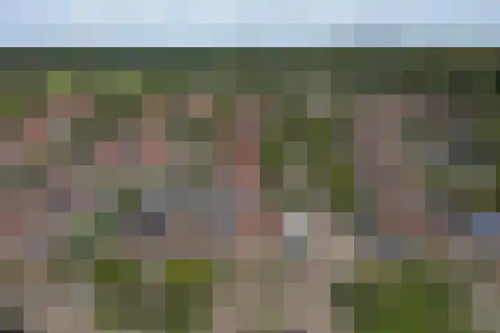 Hoge Kamp 29 Ermelo thumbnail 34