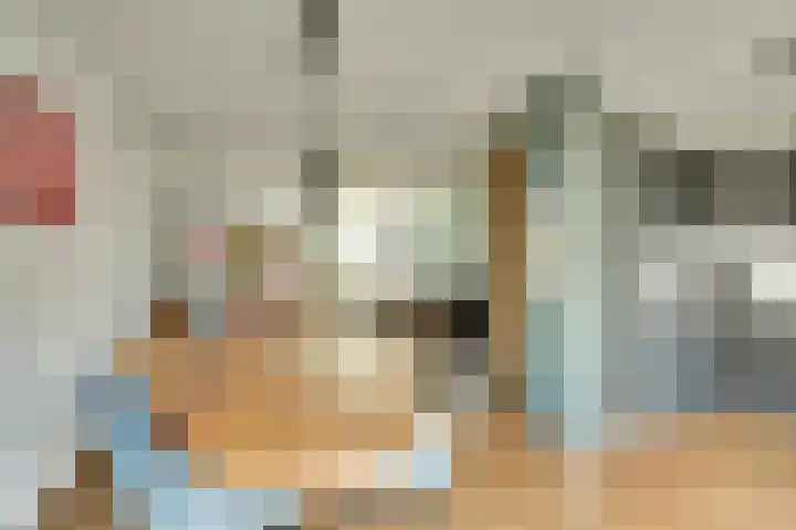 Hoge Kamp 29 Ermelo thumbnail 6