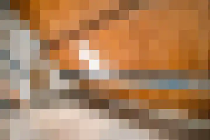 Hoge Kanaaldijk 14 Maastricht thumbnail 32