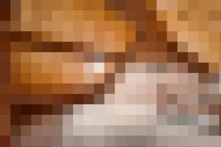 Hoge Kanaaldijk 14 Maastricht thumbnail 33