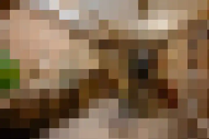 Hoge Kanaaldijk 14 Maastricht thumbnail 34
