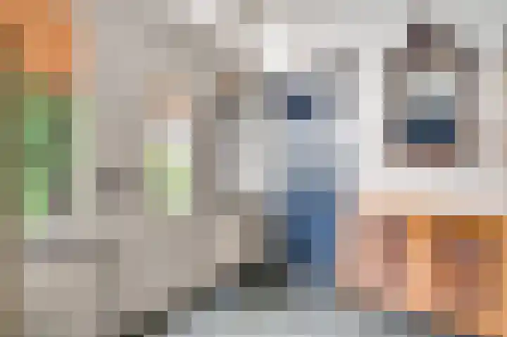Hoge Kanaaldijk 14 Maastricht thumbnail 7