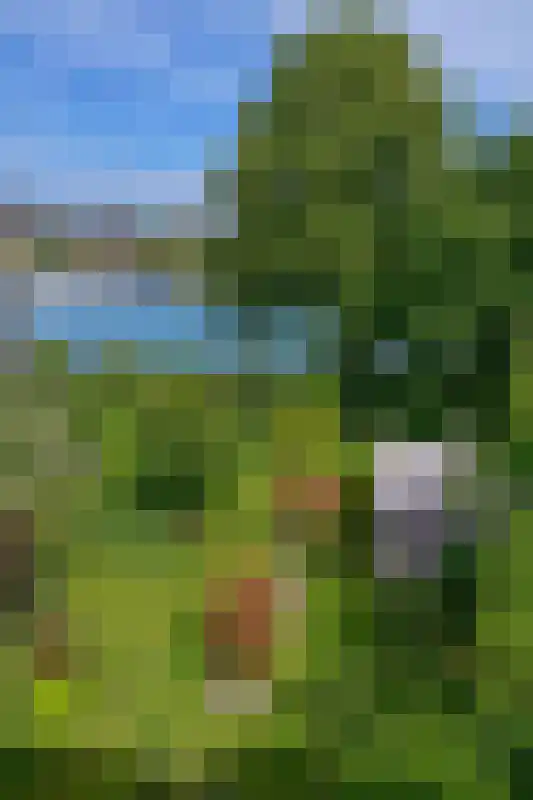 Hoge Kanaaldijk 35 Maastricht thumbnail 28