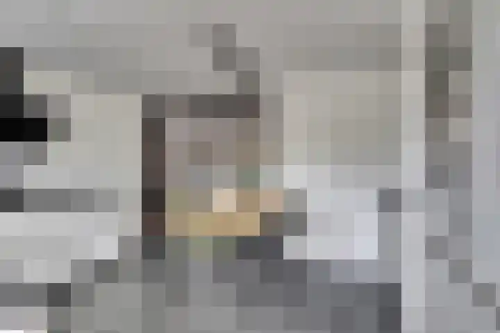 Hoge Kerkstraat 6 Nieuwerkerk thumbnail 10