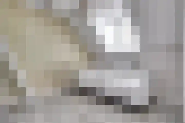 Hoge Kerkstraat 6 Nieuwerkerk thumbnail 20