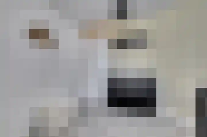 Hoge Kerkstraat 6 Nieuwerkerk thumbnail 23