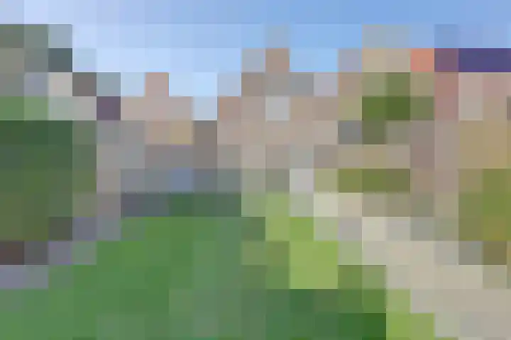 Hoge Kerkstraat 6 Nieuwerkerk thumbnail 27