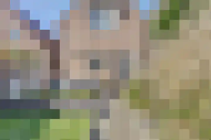Hoge Kerkstraat 6 Nieuwerkerk thumbnail 29