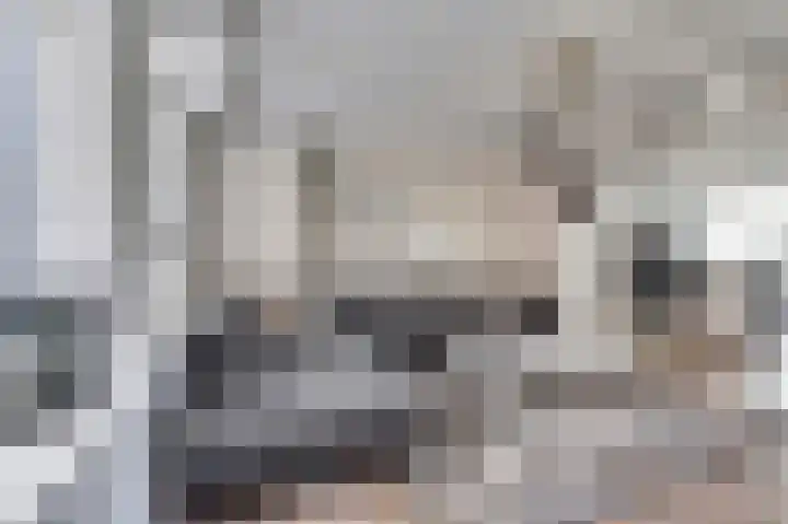 Hoge Kerkstraat 6 Nieuwerkerk thumbnail 4