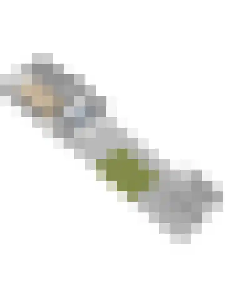 Hoge Kerkstraat 6 Nieuwerkerk thumbnail 48