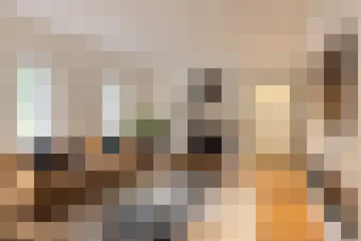 Hoge Kleiweg 5 Leusden thumbnail 12