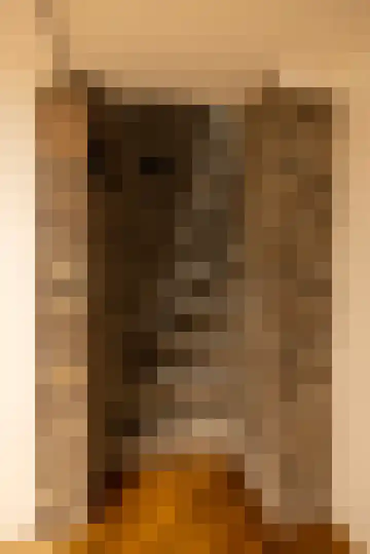 Hoge Kleiweg 5 Leusden thumbnail 23