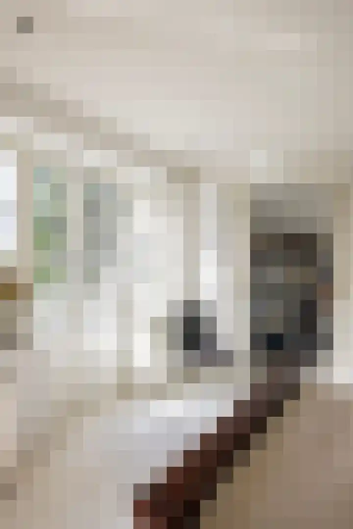 Hoge Kleiweg 5 Leusden thumbnail 32
