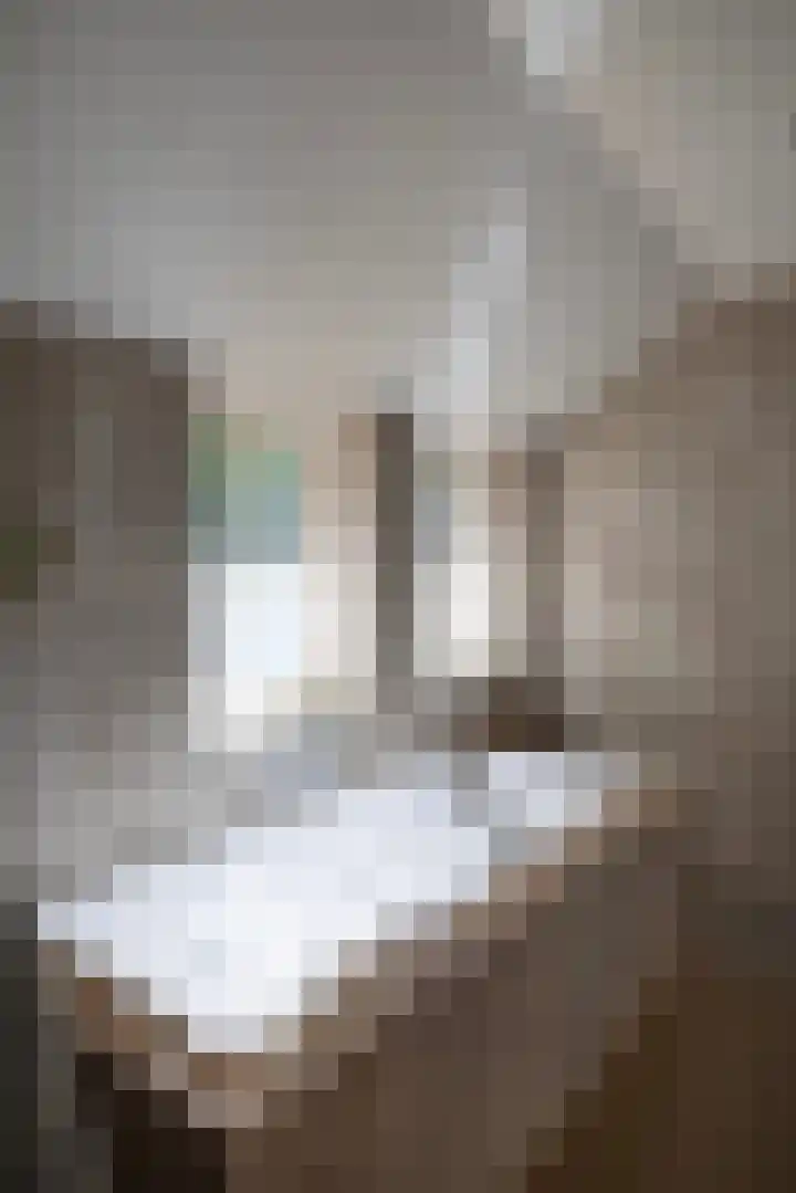 Hoge Kleiweg 5 Leusden thumbnail 36