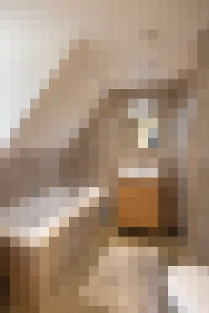 Hoge Kleiweg 5 Leusden thumbnail 44
