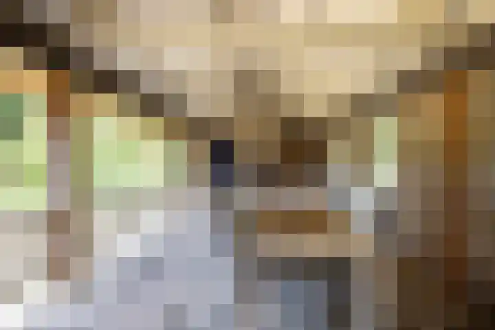 Hoge Kleiweg 5 Leusden thumbnail 47
