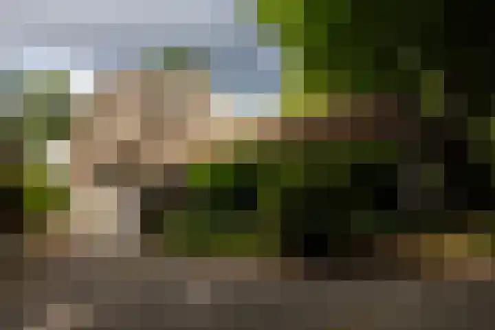 Hoge Kleiweg 5 Leusden thumbnail 49
