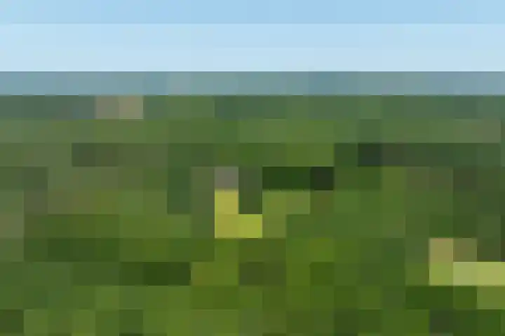 Hoge Kleiweg 5 Leusden thumbnail 50