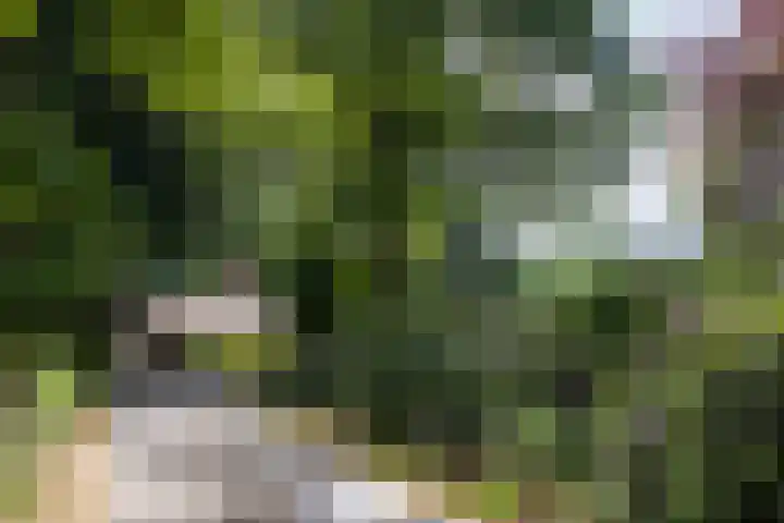 Hoge Kleiweg 5 Leusden thumbnail 6