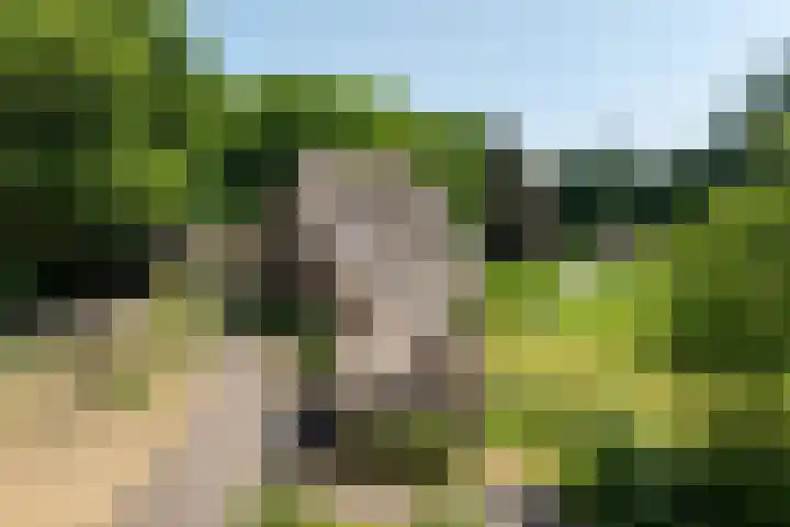 Hoge Kleiweg 5 Leusden thumbnail 9