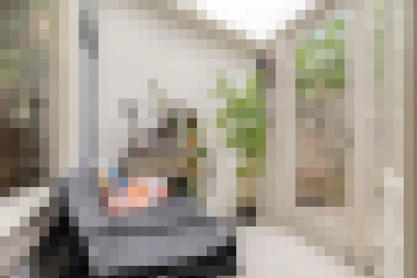 Hoge Larenseweg 105 Hilversum thumbnail 14