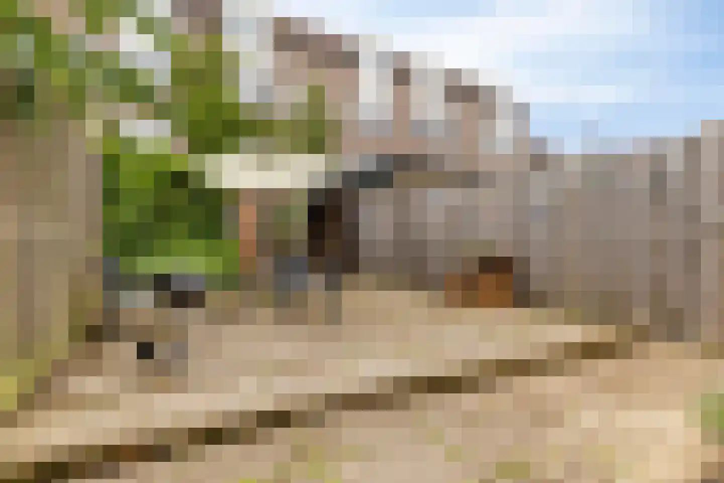 Hoge Larenseweg 105 Hilversum thumbnail 15