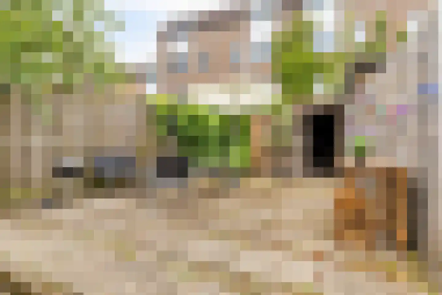 Hoge Larenseweg 105 Hilversum thumbnail 16
