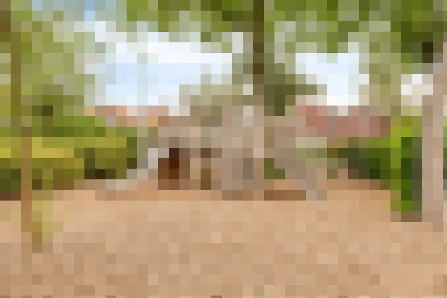 Hoge Larenseweg 105 Hilversum thumbnail 31