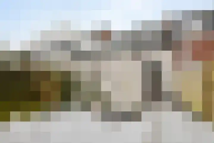Hoge Larenseweg 116 Hilversum thumbnail 21