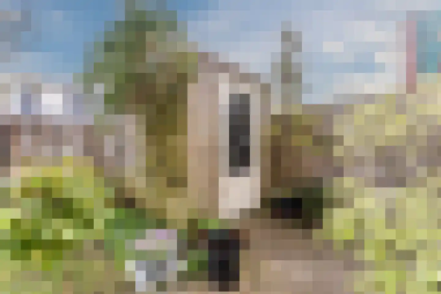 Hoge Larenseweg 122 Hilversum thumbnail 24