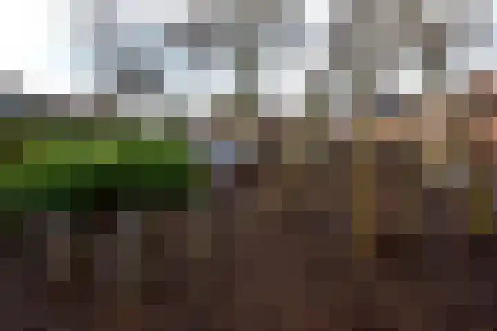 Hoge Larenseweg 150 Hilversum thumbnail 19