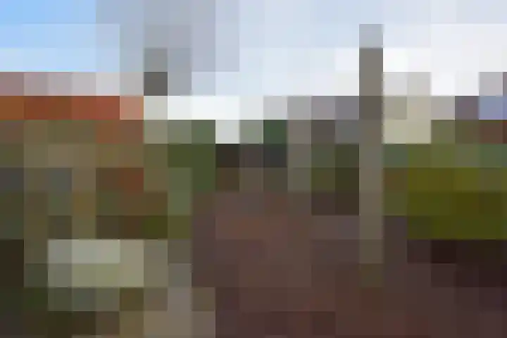 Hoge Larenseweg 150 Hilversum thumbnail 20