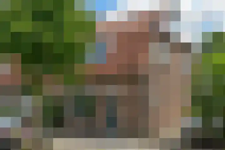 Hoge Larenseweg 150 Hilversum thumbnail 33