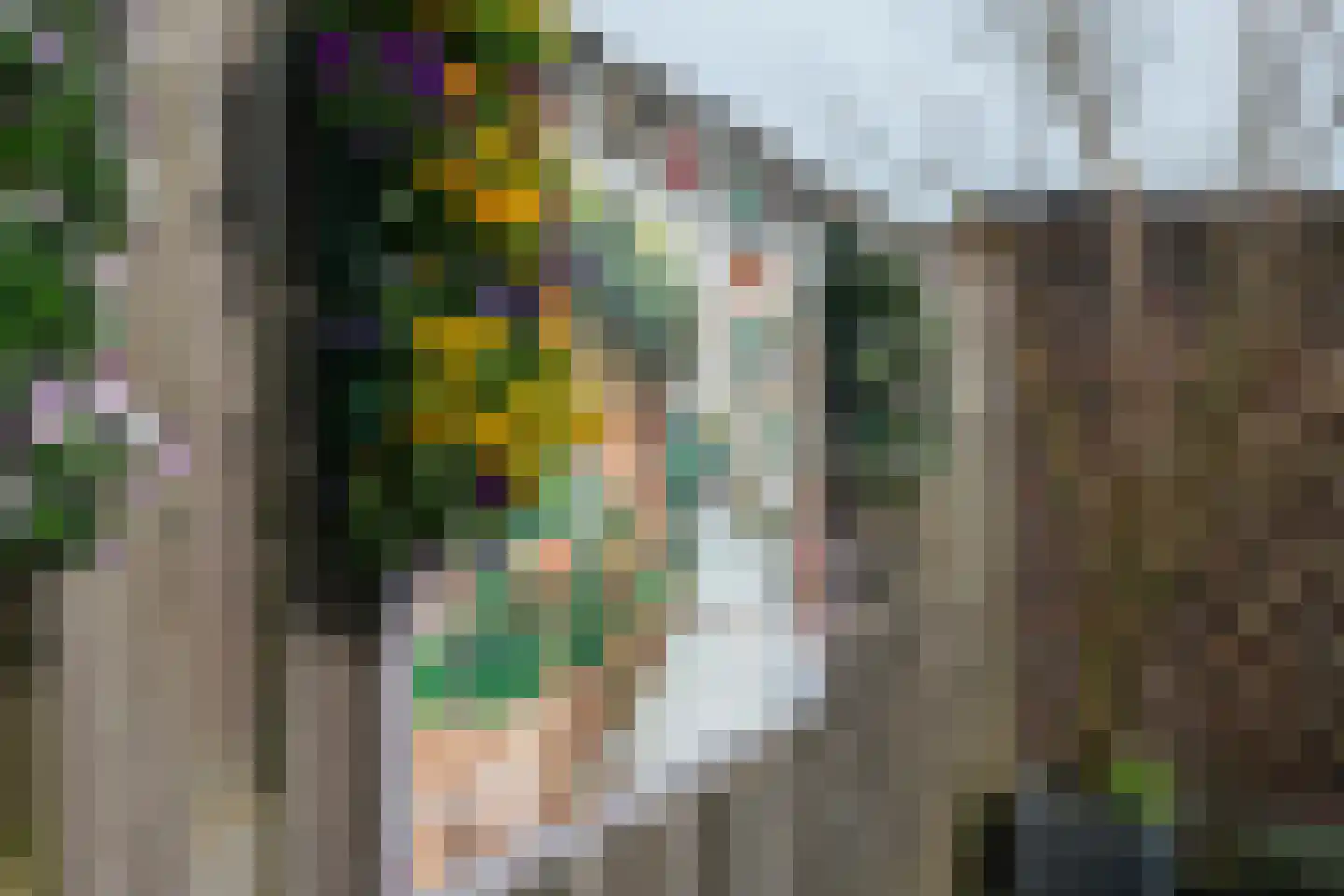 Hoge Larenseweg 17 Hilversum thumbnail 24