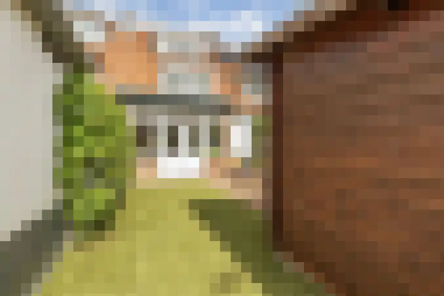 Hoge Larenseweg 218 Hilversum thumbnail 29