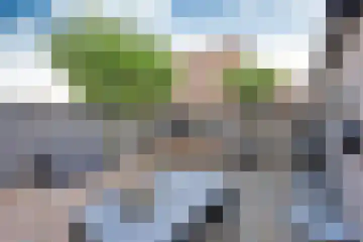 Hoge Larenseweg 234 Hilversum thumbnail 16