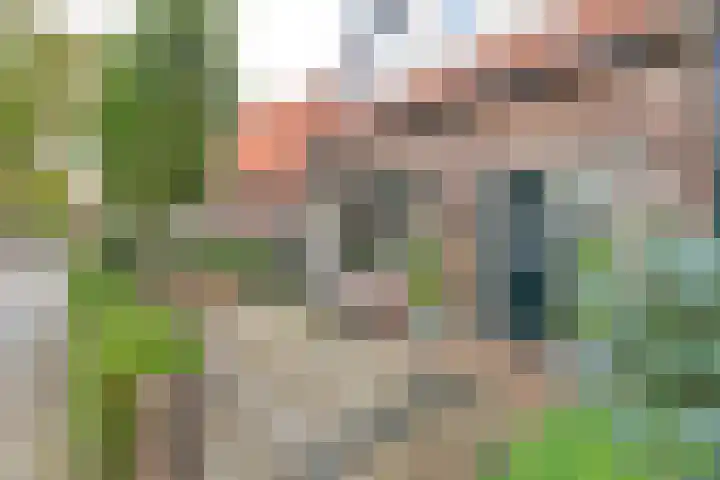 Hoge Larenseweg 234 Hilversum thumbnail 17