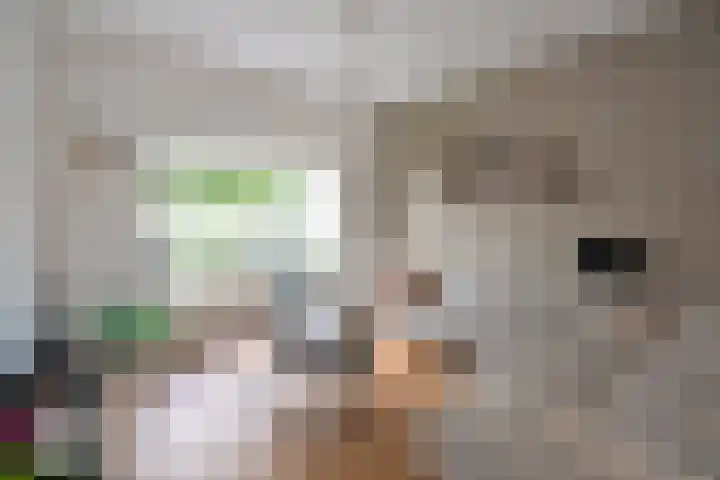 Hoge Larenseweg 234 Hilversum thumbnail 5