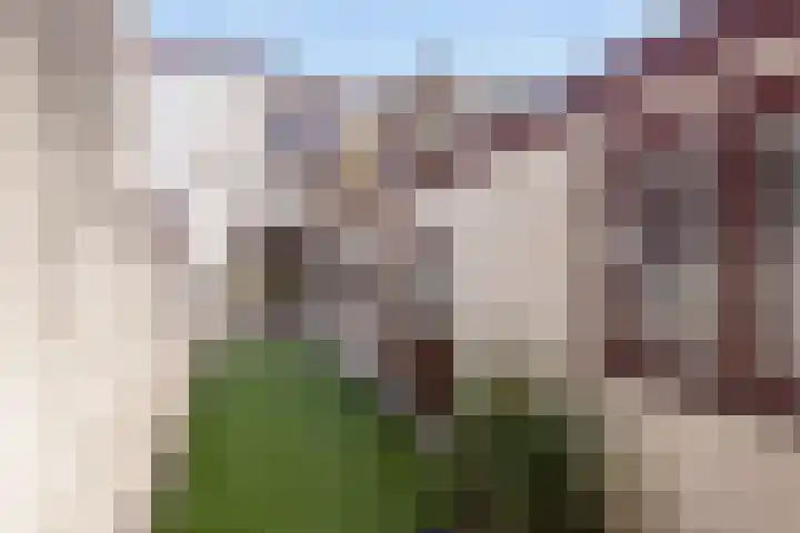 Hoge Larenseweg 245 Hilversum thumbnail 28