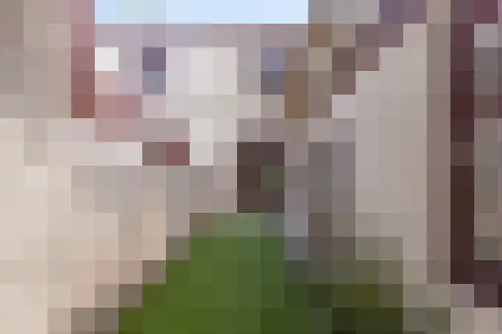 Hoge Larenseweg 245 Hilversum thumbnail 29