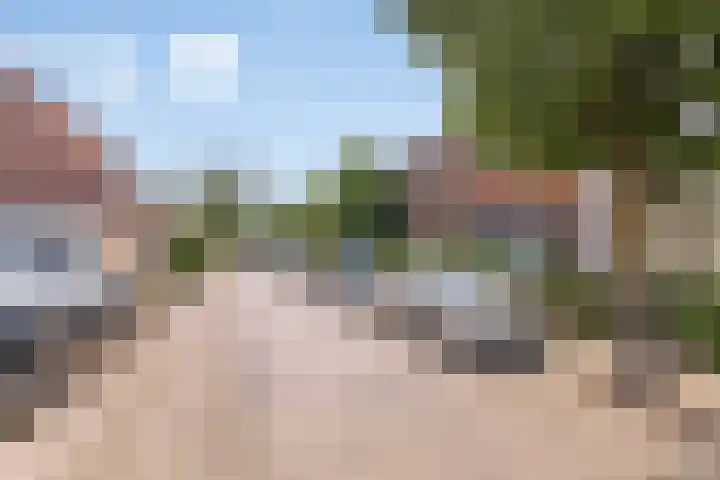 Hoge Larenseweg 245 Hilversum thumbnail 32