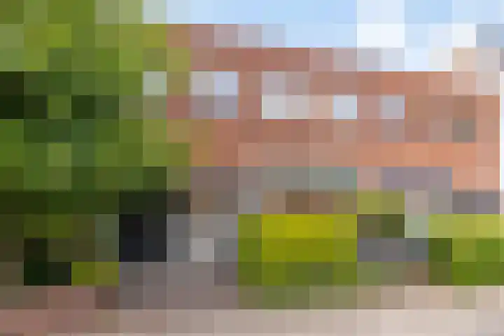 Hoge Larenseweg 245 Hilversum thumbnail 34