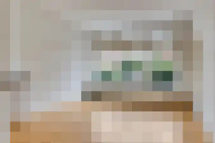 Hoge Larenseweg 245 Hilversum thumbnail 8
