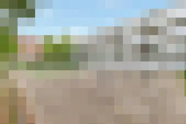 Hoge Larenseweg 43 B Hilversum thumbnail 18